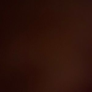 Meet your Posher, Addison